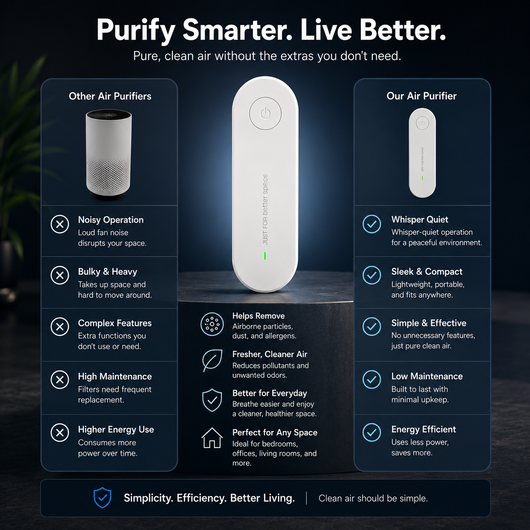 Ionizer Air Purifier