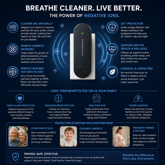 Ionizer Air Purifier