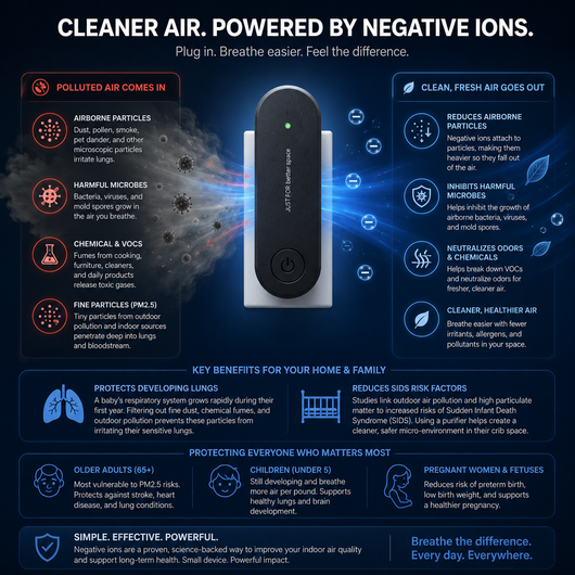 Ionizer Air Purifier